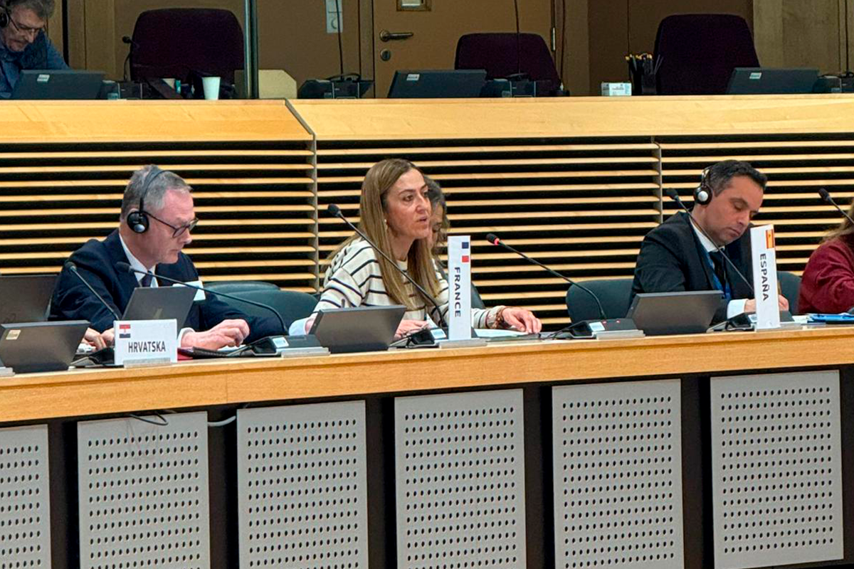Virginia Barcones durante su intervención